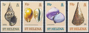 Святая Елена, 1981, Раковины, 4 марки